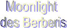 Moonlight 
des Berberis